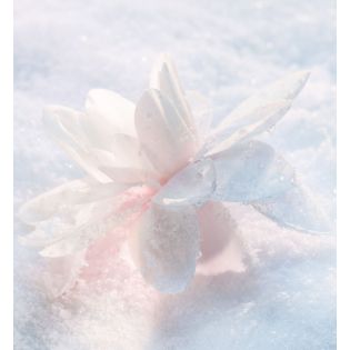 Diorsnow Essence of Light Sérum