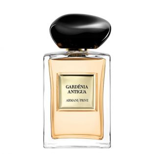 Gardênia Antígua