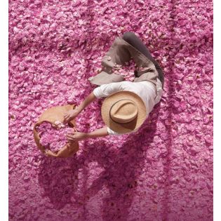 Miss Dior Névoa Sedosa
