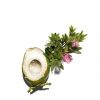 Creme hidraenergizante My Clarins RE-BOOST