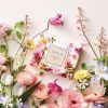 Conjunto de descoberta de fragrâncias mais vendidas da AERIN