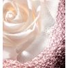 Dior Prestige Le Micro Caviar de Rose