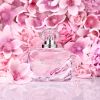 Conjunto de fragrâncias para o dia das mães Better Than Roses