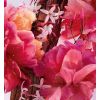 Miss Dior Perfume