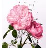 Miss Dior Essência Rosa