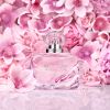 Conjunto de fragrâncias Beautiful Magnolia Dare To Play