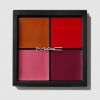 Paleta Pro Face: Blush